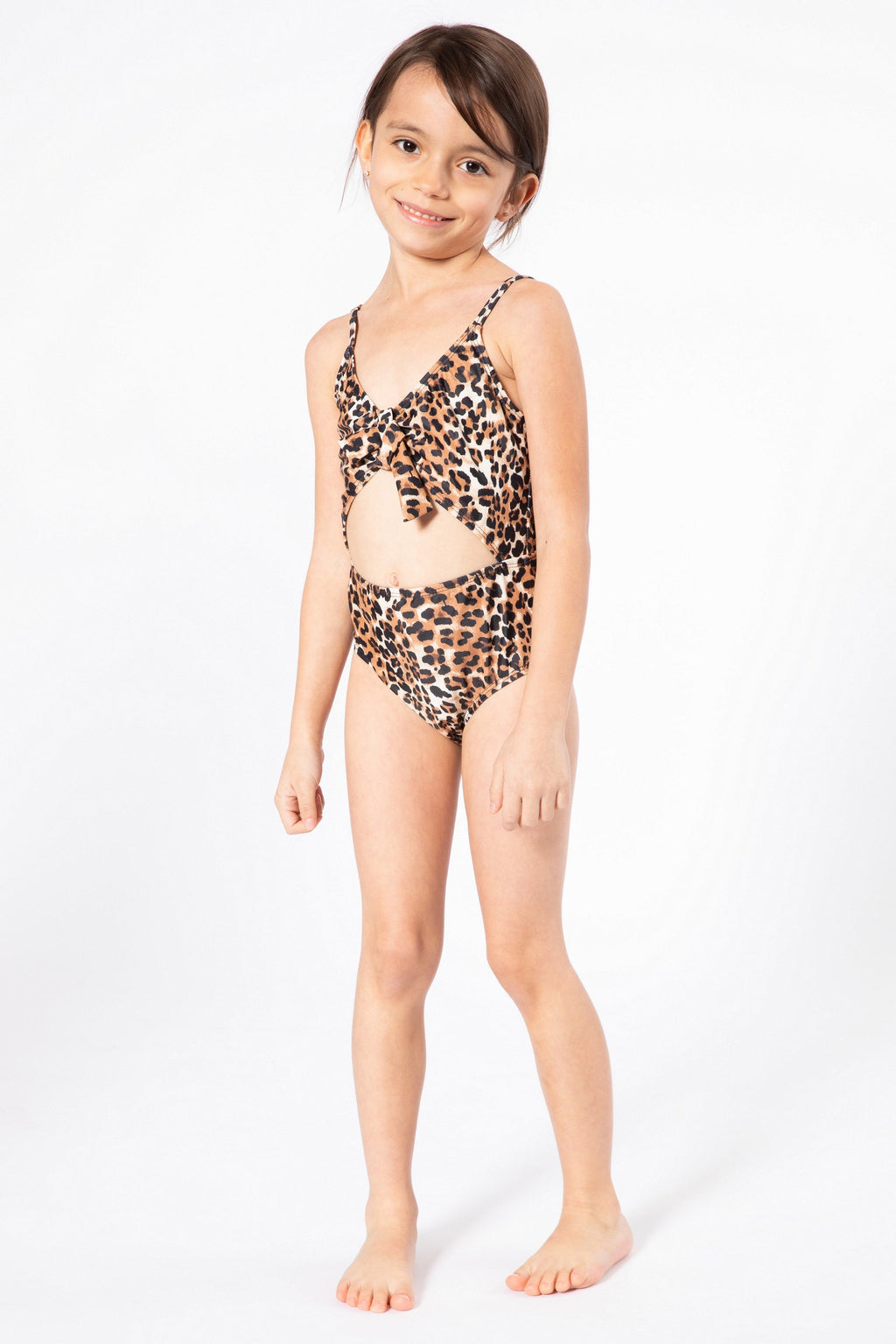 K4712-Cheetah