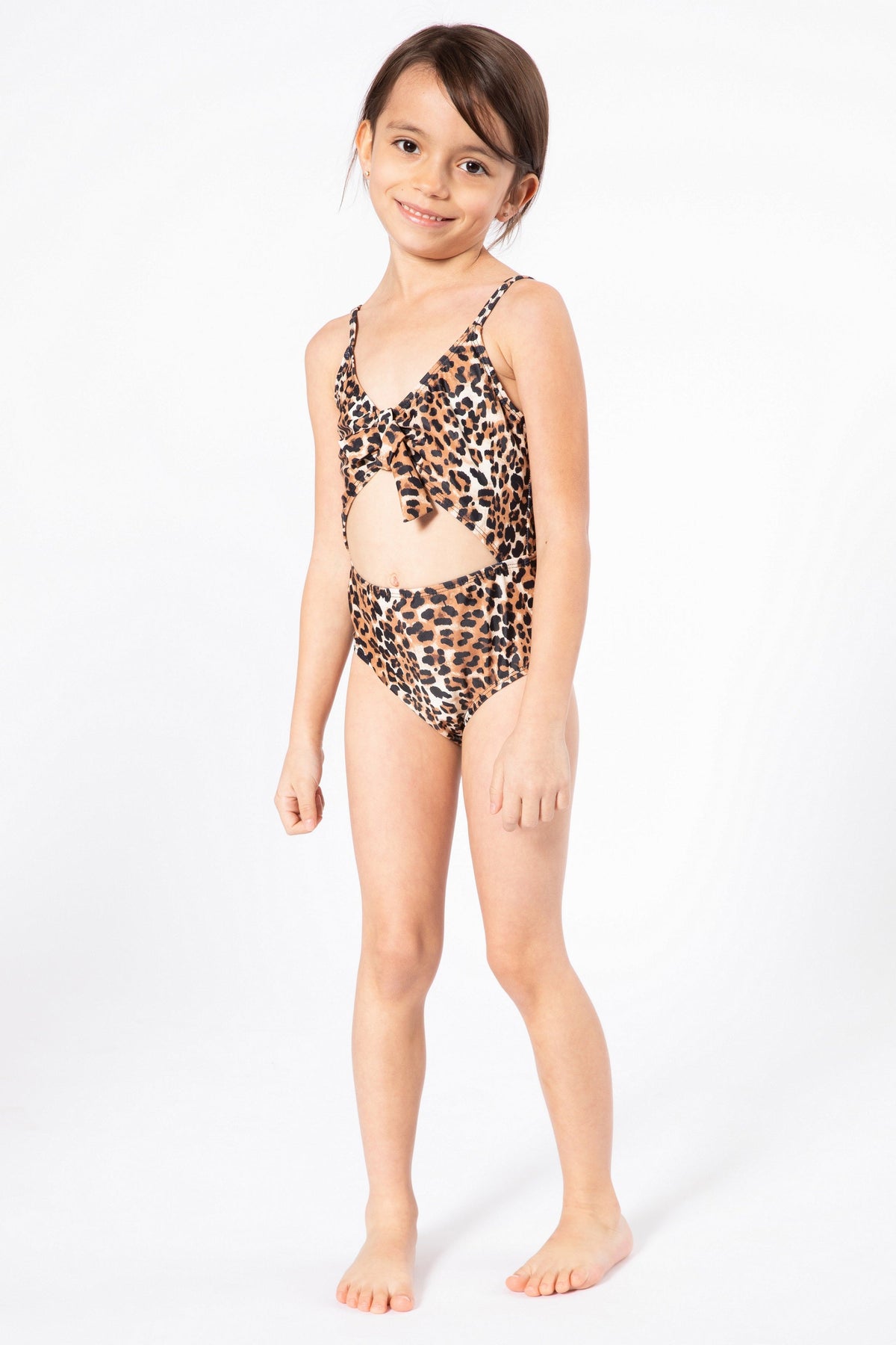 K4712-Cheetah