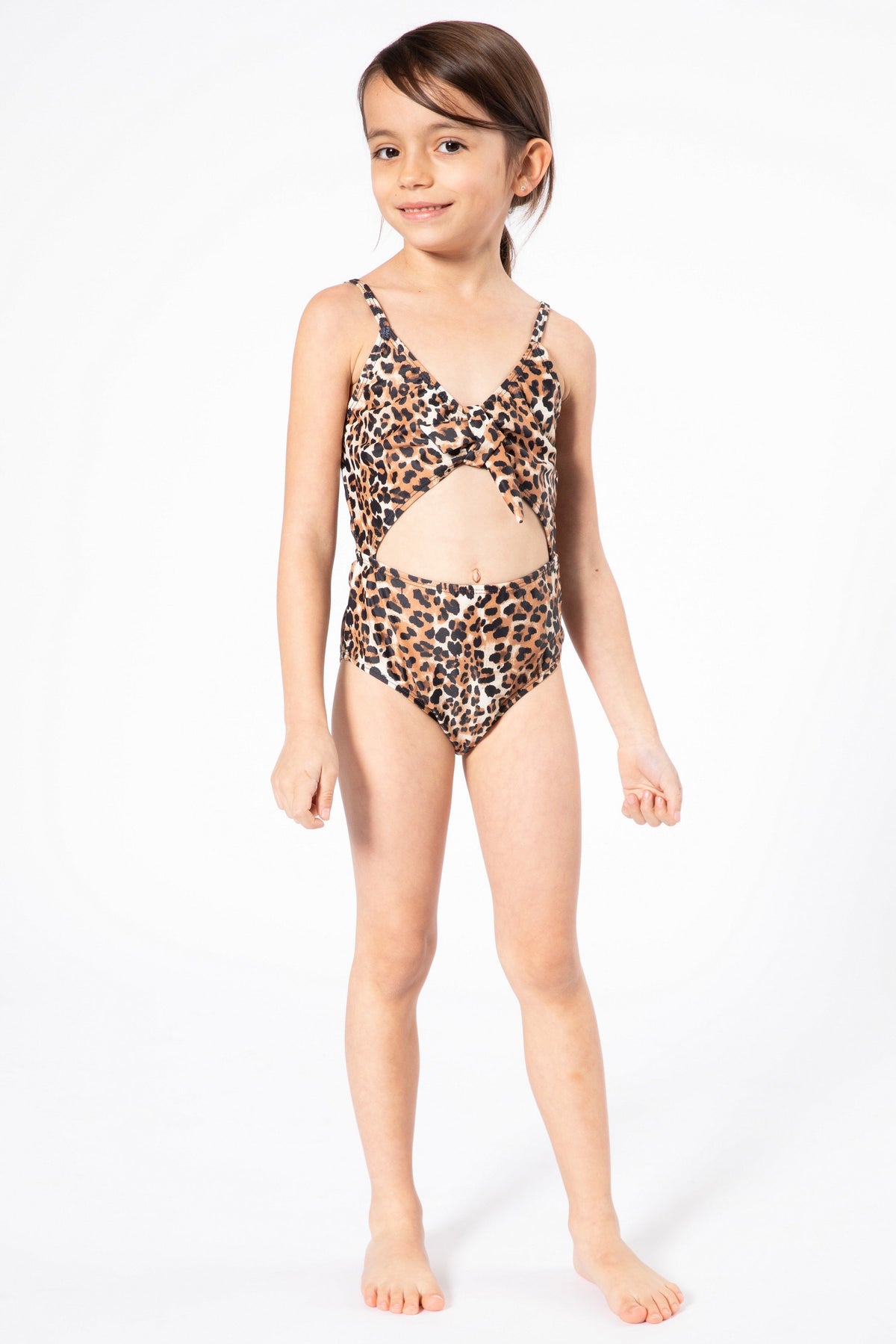 K4712-Cheetah